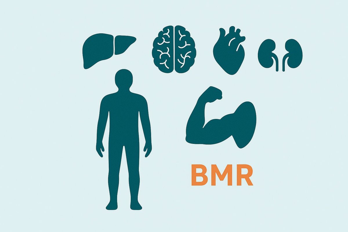 Minimalist human silhouette with a golden energy aura at the chest, symbolizing basal metabolic rate (BMR) and resting metabolism