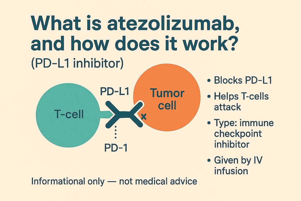 Infographic: Atezolizumab (PD-L1 inhibitor)—simple overview of what it does, where it helps (NSCLC, ES-SCLC+chemo, liver+bevacizumab, selected urothelial), how it’s given (IV), and early side effects.